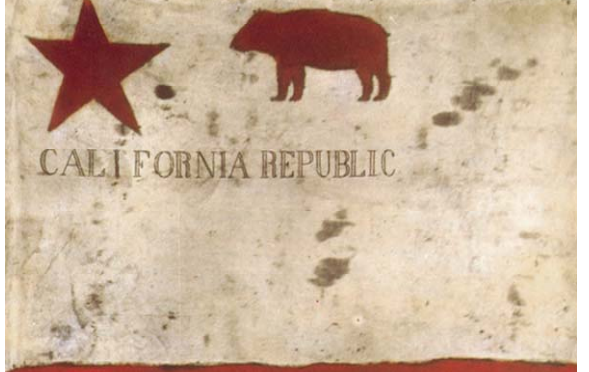 todd flag california state bear flag